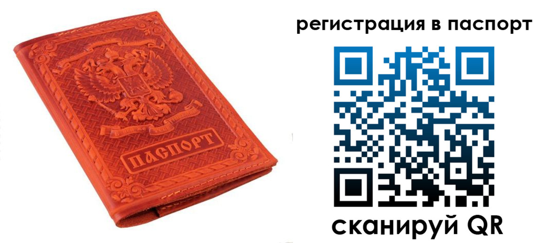 прописка паспорт в Светлогорске