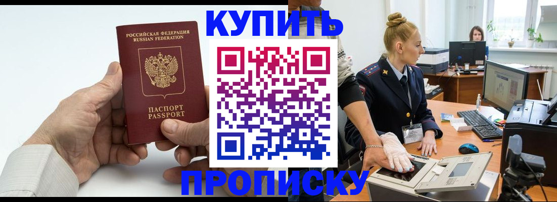 временная регистрация поиск в Светлогорске
